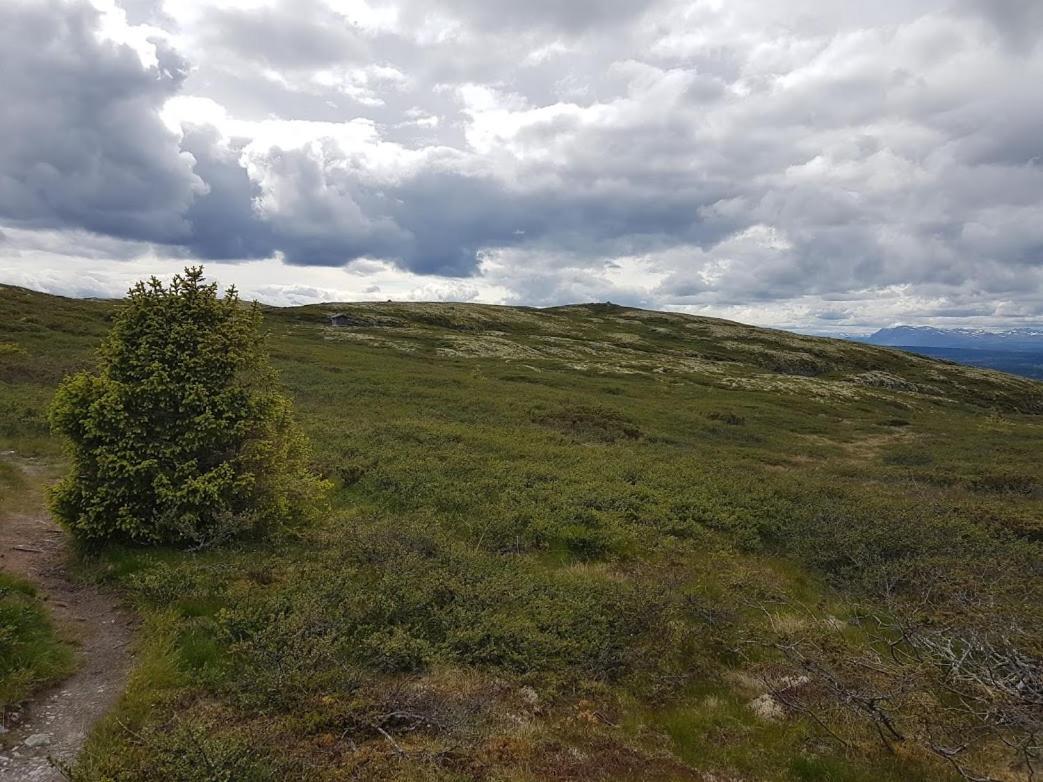 Hos Blafjelldal, Bagn I Valdres Bed and Breakfast Eksteriør billede